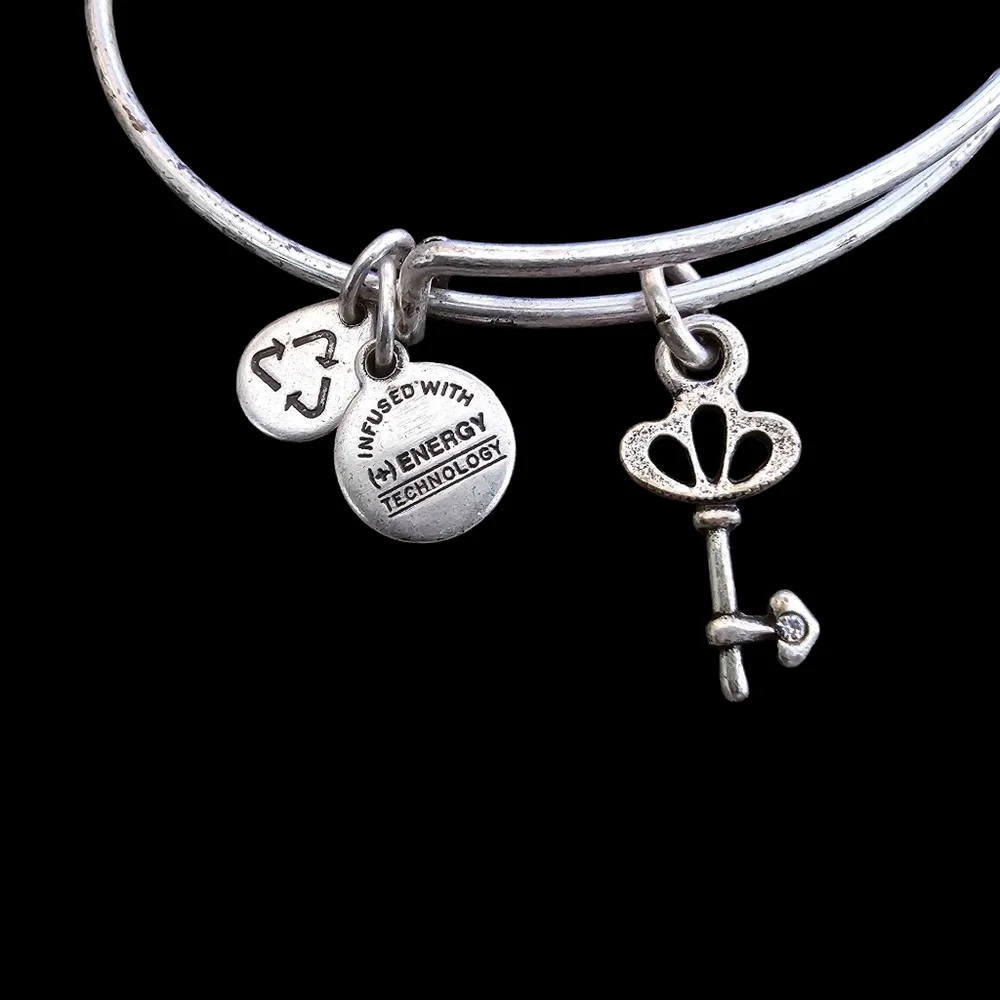 Alex and Ani Crystal Skeleton Key Charm Bangle in Silver-Tone Brass
